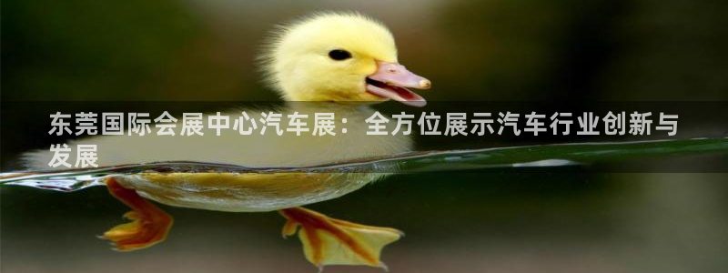 果博平台链接：东莞国际会展中心汽车展：全方位展示汽车行业创新与
发展