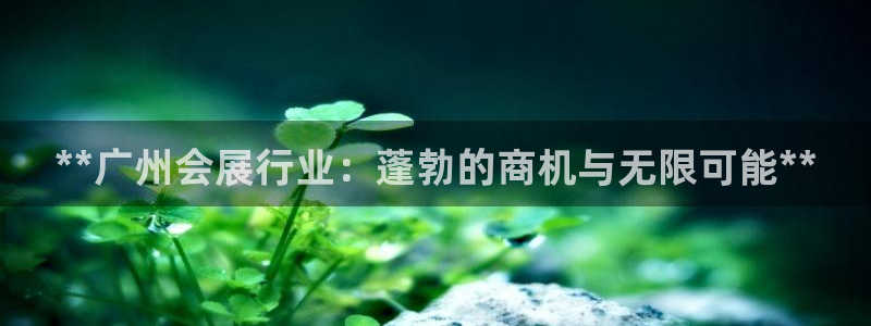 果博手机版下载：**广州会展行业：蓬勃的商机与无限可能**