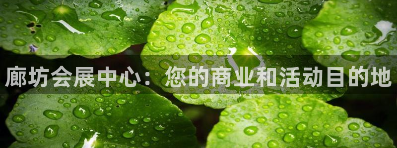 果博平台真实吗