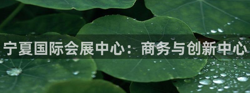 果博注册平台怎么注册账号：宁夏国际会展中