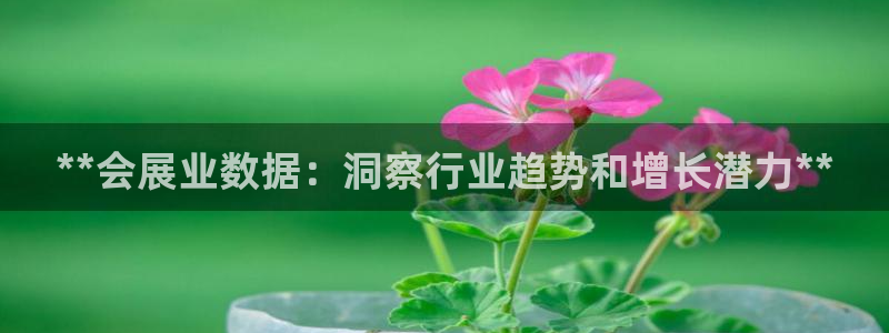 果博园简介：**会展业数据：洞察行业趋势和增长潜力**