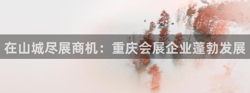 果博平台真实吗安全吗可信吗可靠吗：在山城尽展商机：重庆会展企业蓬勃发展