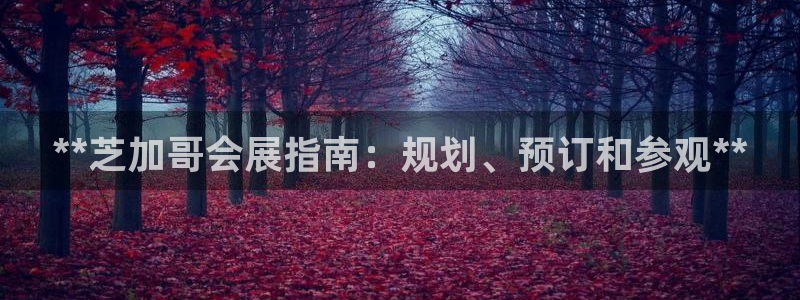 果博注册充值怎么充：**芝加哥会展指南：规划、预订和参观**