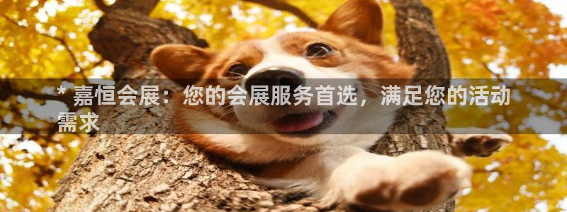 果博公司客服电话号码：* 嘉恒会展：您的会展服务首选，满足您的活动
需求