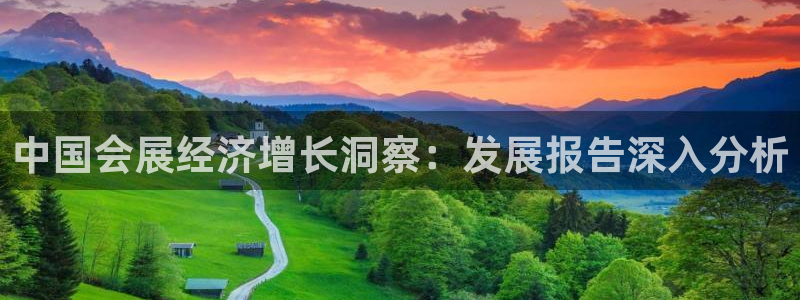 果博公司客服怎么样：中国会展经济增长洞察：发展报告深入分析