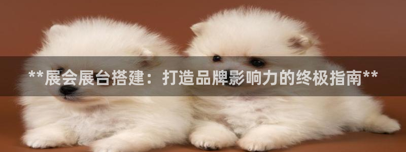 果博注册客服电话号码是多少：**展会展台搭建：打造品牌影响力的终极指南**