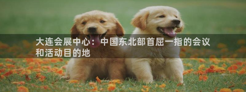 果博注册会员怎么注销：大连会展中心：中国东北部首屈一指的会议
和活动目的地