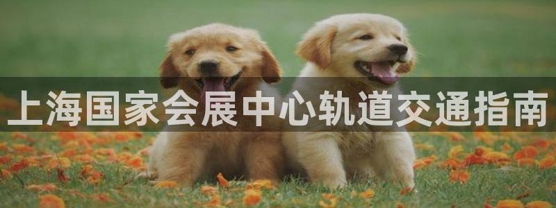 果搏东方客服：上海国家会展中心轨道交通指南
