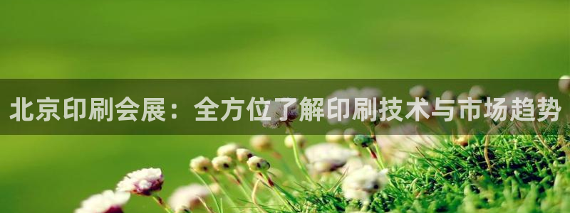 果博公司在线客服：北京印刷会展：全方位了解印刷技术与市场趋势