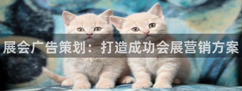 果博平台开户电话：展会广告策划：打造成功会展营销方案