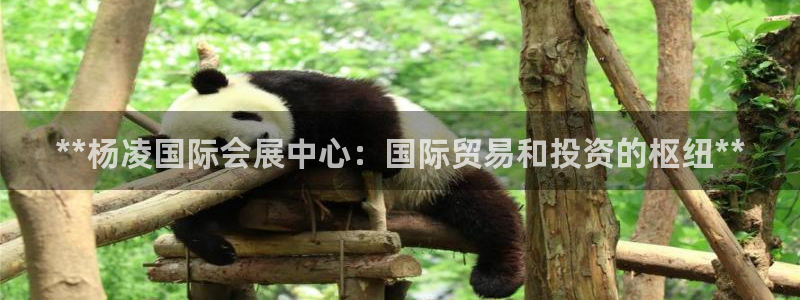 果博客服电话哪里找啊：**杨凌国际会展中