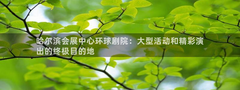 果博官网客服电话号码：哈尔滨会展中心环球剧院：大型活动和精彩演
出的终极目的地