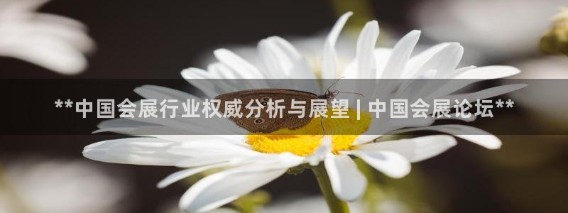 果博官网客服电话号码：**中国会展行业权威分析与展望 | 中国会展论坛**