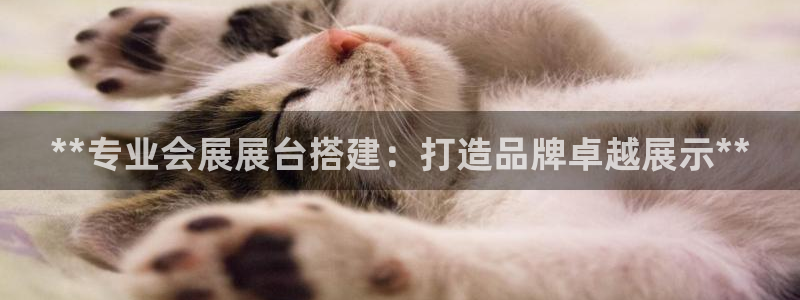 果博官网电话：**专业会展展台搭建：打造品牌卓越展示**