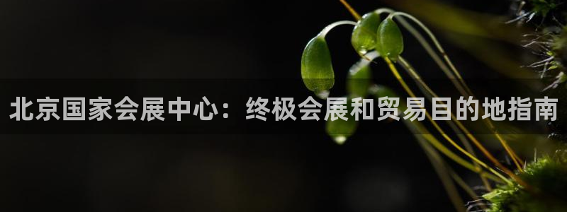 果博公司注册：北京国家会展中心：终极会展和贸易目的地指南
