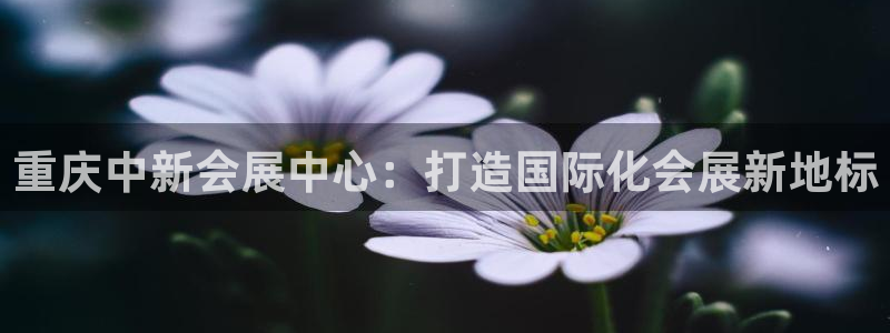 果博平台真实吗知乎：重庆中新会展中心：打造国际化会展新地标