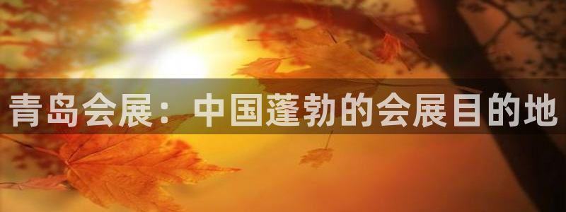 果博代理：青岛会展：中国蓬勃的会展目的地