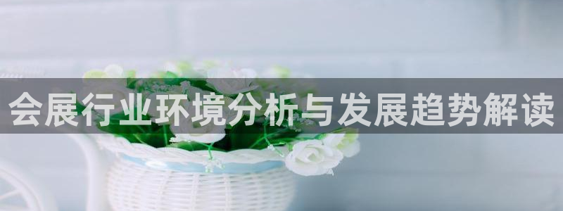 果博上分电话：会展行业环境分析与发展趋势