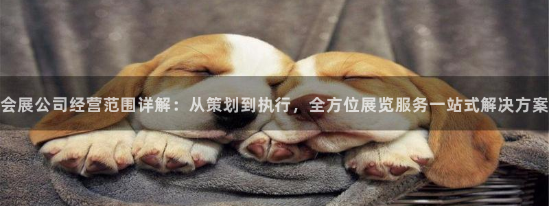 果博公司：会展公司经营范围详解：从策划到