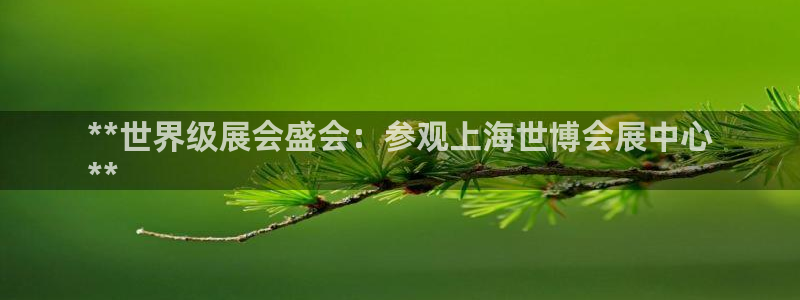 果博代理电话多少号码：**世界级展会盛会：参观上海世博会展中心
**