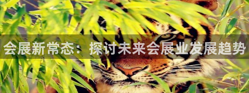 果博官网电话：会展新常态：探讨未来会展业发展趋势