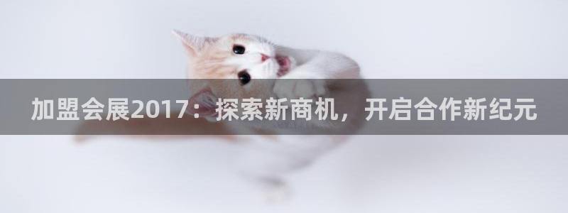 果博平台赖不赖：加盟会展2017：探索新商机，开启合作新纪元