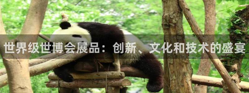 果博平台真实吗安全吗可信吗是真的吗：世界级世博会展品：创新、文化和技术的盛宴