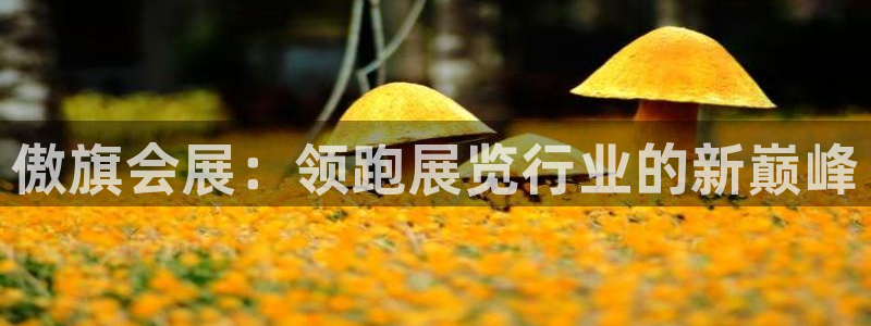 果搏东方客服：傲旗会展：领跑展览行业的新巅峰