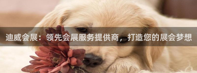 果博公司会员账号开户