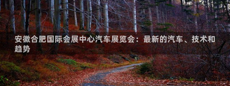 果博网站二维码