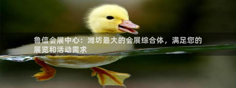 果搏东方客服：鲁信会展中心：潍坊最大的会展综合体，满足您的
展览和活动需求