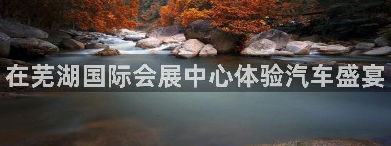 果博公司客服微信：在芜湖国际会展中心体验汽车盛宴