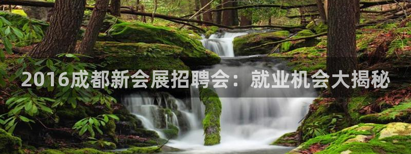 果博注册会员怎么注销：2016成都新会展招聘会：就业机会大揭秘
