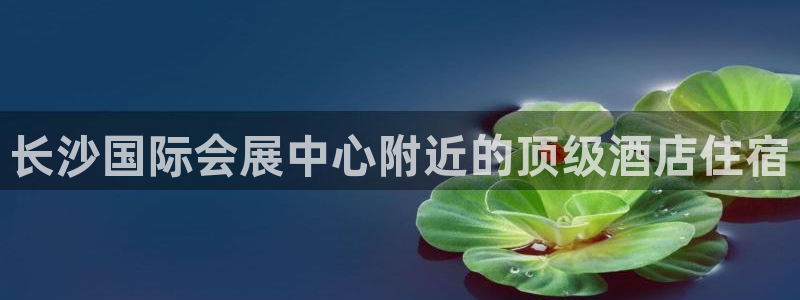 下载果博博东方下载：长沙国际会展中心附近的顶级酒店住宿