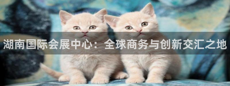 果博app官网下载
