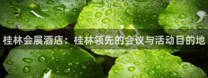 果博app官网下载：桂林会展酒店：桂林领先的会议与活动目的地