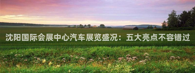 手机怎样下载果博：沈阳国际会展中心汽车展览盛况：五大亮点不容错过