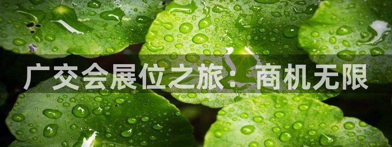 下载果博博东方下载：广交会展位之旅：商机无限
