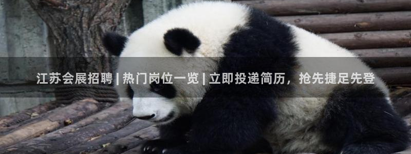 果博怎么注册账号：江苏会展招聘 | 热门岗位一览 | 立即投递简历，抢先捷足先登