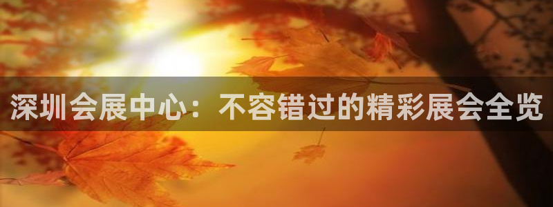 苹果电脑可以下载博易大师吗