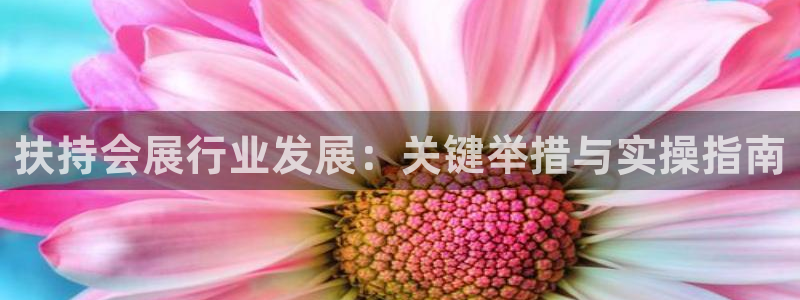 果博账号注册要钱吗：扶持会展行业发展：关键举措与实操指南