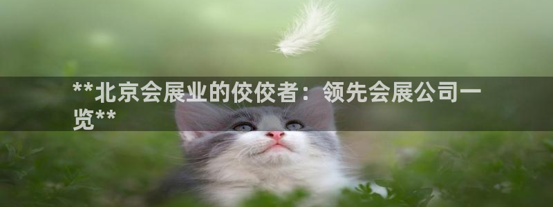 果博公司联系方式