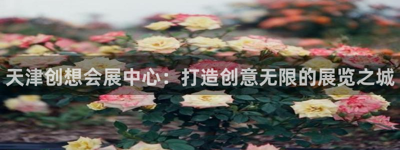 果博公司会员开户：天津创想会展中心：打造创意无限的展览之城