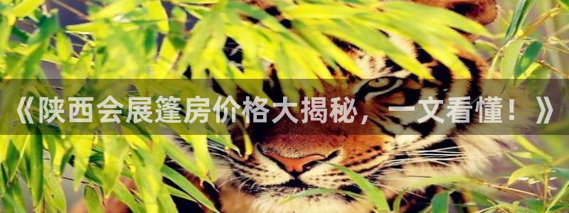 电脑怎么下载果考网：《陕西会展篷房价格大揭秘，一文看懂！》