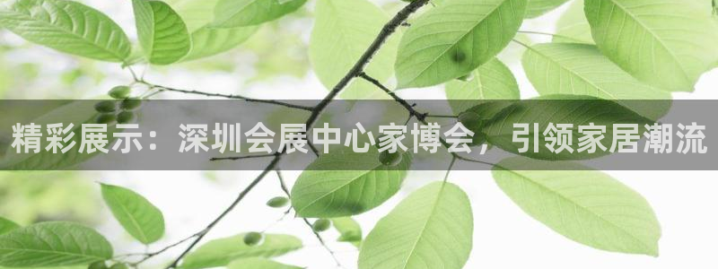 果博管理网：精彩展示：深圳会展中心家博会，引领家居潮流