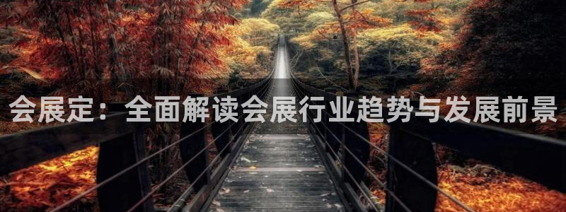 果博注册平台怎么注册的：会展定：全面解读会展行业趋势与发展前景