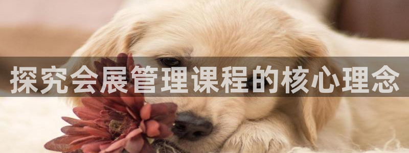 果博东官方网站怎么下载：探究会展管理课程的核心理念
