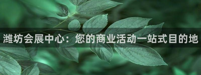 果博真人：潍坊会展中心：您的商业活动一站式目的地