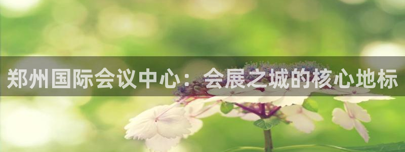 果博公司客服电话多少：郑州国际会议中心：会展之城的核心地标