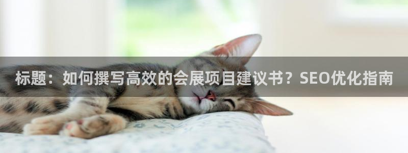 果博公司游戏网址：标题：如何撰写高效的会展项目建议